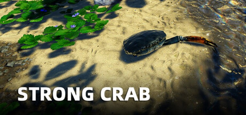 Strong Crab Image