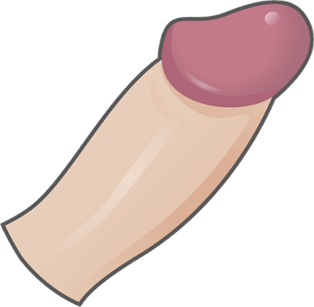 Wank simulator Image