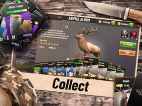 Hunting Clash: Shooting Games Image