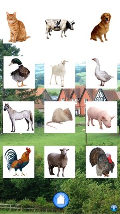 Sounds of Farm Animals screenshot