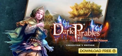 Dark Parables: Salt Princess Image