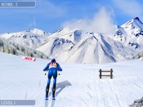 Downhill Skiing champion Image