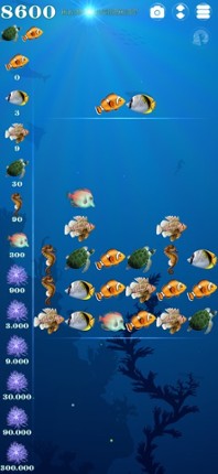 Magic Alchemist Under the Sea Image