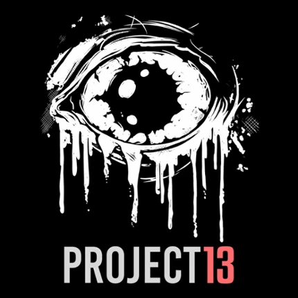 PROJECT 13 Image