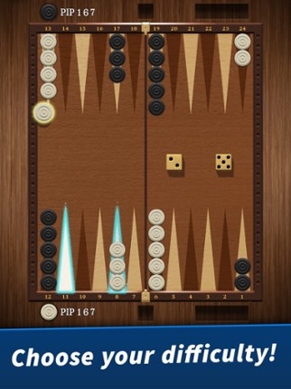 Backgammon Now screenshot