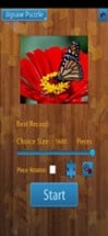 Butterfly Jigsaw Puzzle Game Image