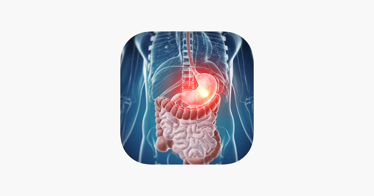 Games like Digestive System Medical Terms