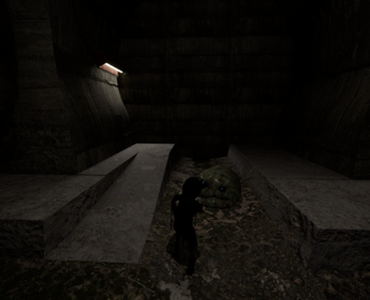 NOMAD Image