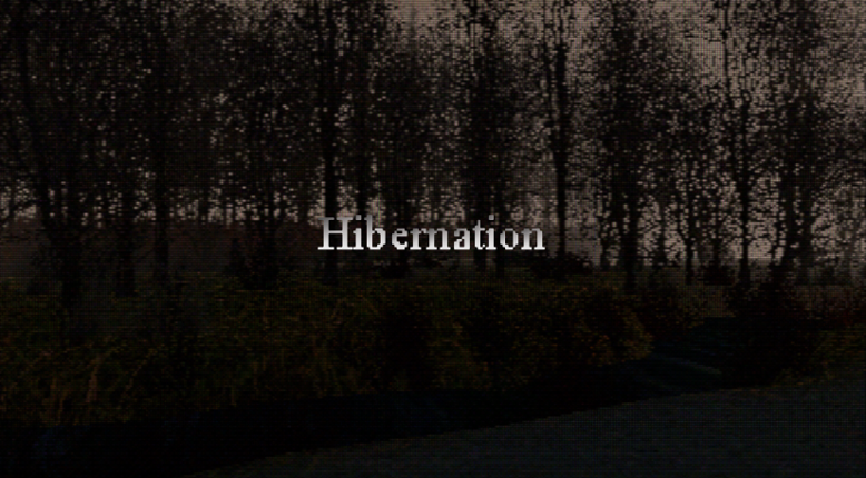 Hibernation Image