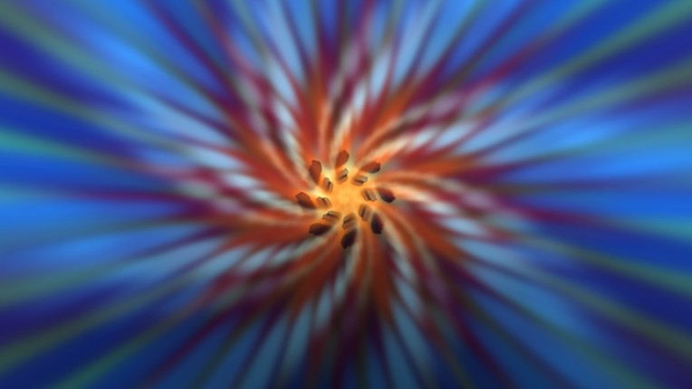 Visitations screenshot