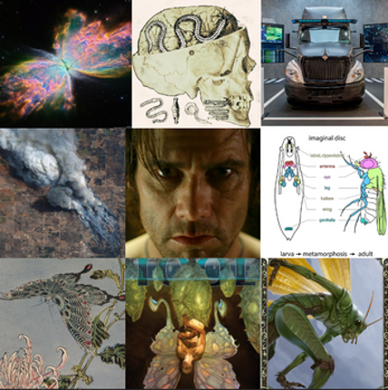 Wherever He May Swarm Image