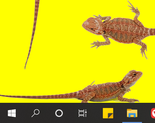 Bearded Dragon Desktop Pet Lizard Game Cover