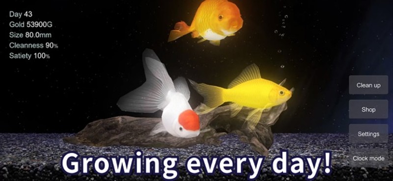 Goldfish - Aquarium Fish Tank Image