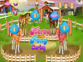 Horse and pony caring game Image