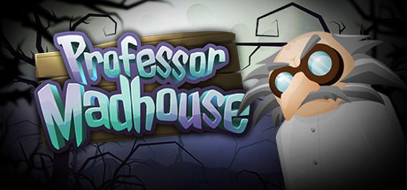 Professor Madhouse Game Cover