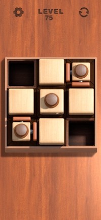 Push Block: Go Direction Path screenshot