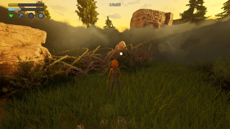 Quiet Grove: Lost in the Fog Image