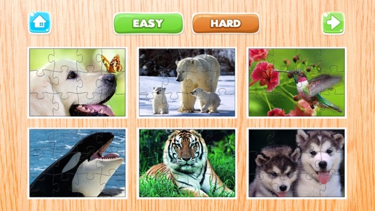 Animals Puzzle for Adults Jigsaw Puzzles Game Free screenshot