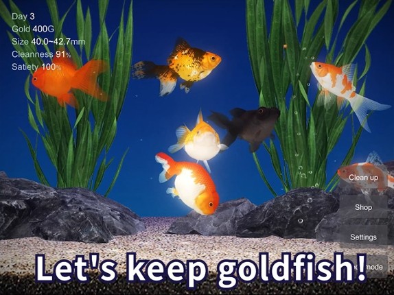 Goldfish - Aquarium Fish Tank Image