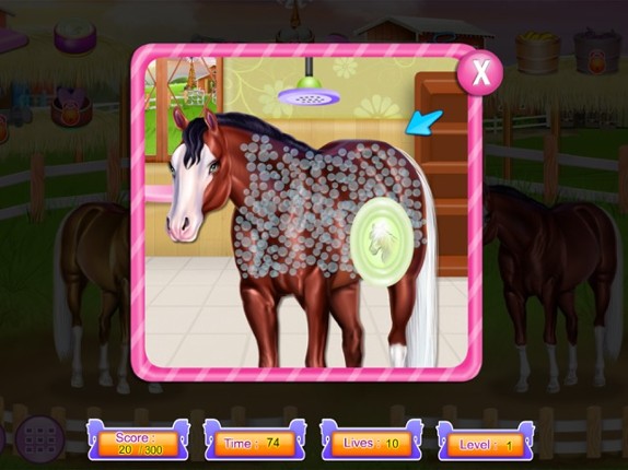 Horse and pony caring game screenshot