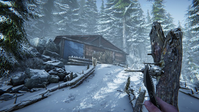 Silence In The Cabin screenshot