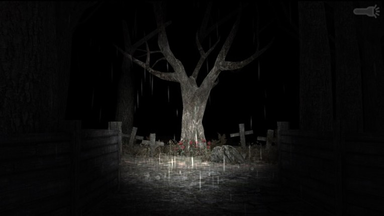 Slender Rising Image