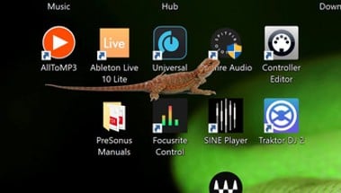 Bearded Dragon Desktop Pet Lizard Image