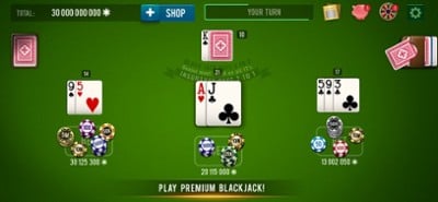 BLACKJACK 21 - Casino Vegas Image