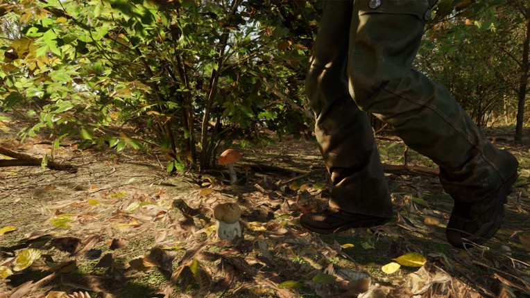 Forest Doesn’t Care screenshot