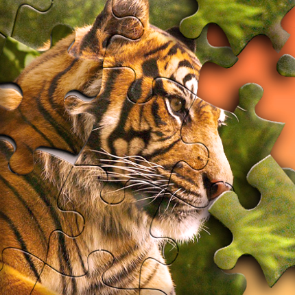 Jigsaw Puzzle Image