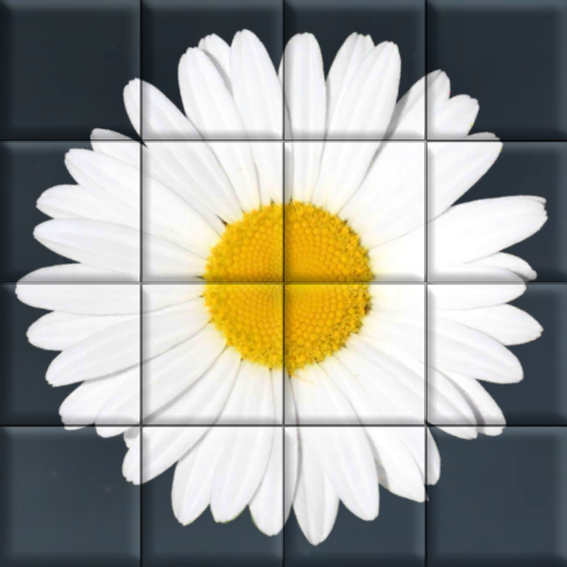Games like Straying Mush: Tile Puzzle Animated