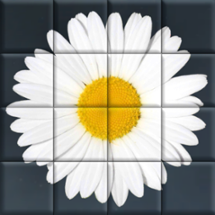 Straying Mush: Tile Puzzle Animated Image