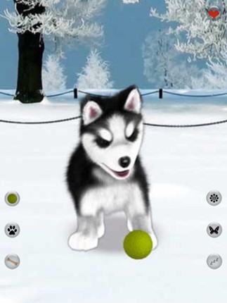 Talking Dog Virtual Pet Husky screenshot