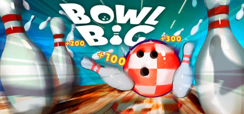 Bowl Big Image