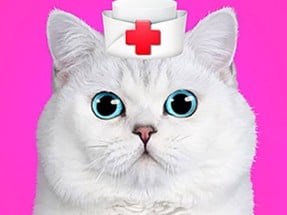 Cat Pet Doctor Dentist Image