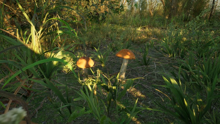 Forest Doesn’t Care screenshot