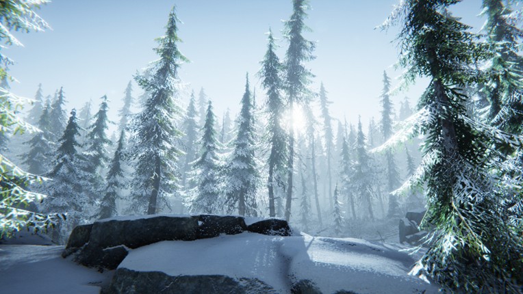 Silence In The Cabin screenshot