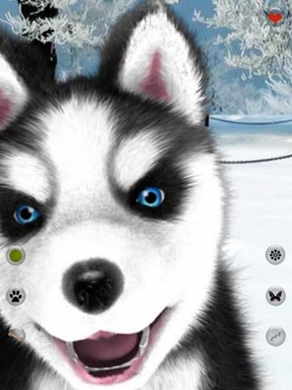 Talking Dog Virtual Pet Husky screenshot