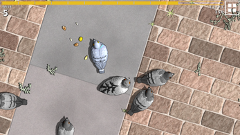 A Park And Pigeons Image