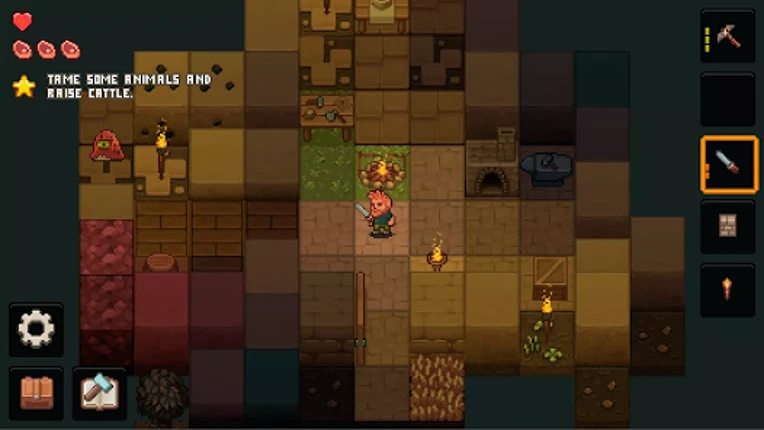 PixelTerra Image