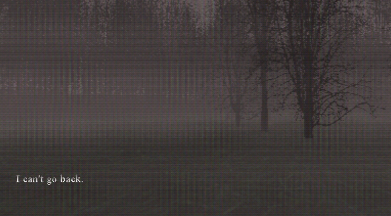 Hibernation Image