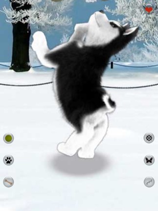 Talking Dog Virtual Pet Husky Image