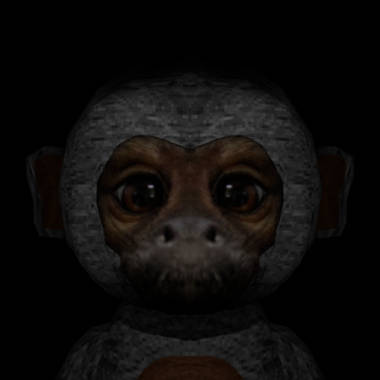 Titi Monkey Image