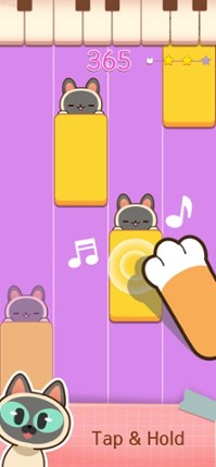 Cat Piano Design Image