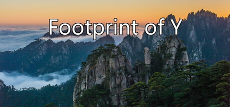 Footprint of Y Image