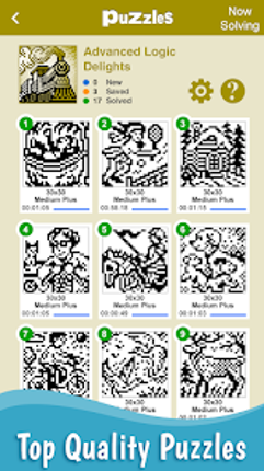 Fill-a-Pix: Minesweeper Puzzle screenshot