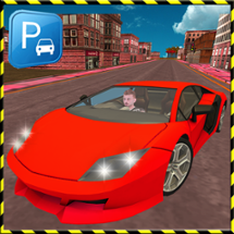 Driving School 3D: Training Image