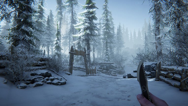 Silence In The Cabin screenshot