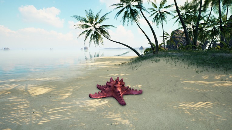 Starfish Simulator Image