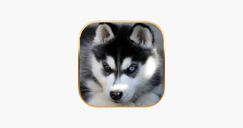 Talking Dog Virtual Pet Husky Image